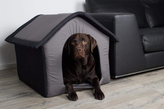 Welche Größe muss die Hundebox Faltbar für meinen Hund haben?