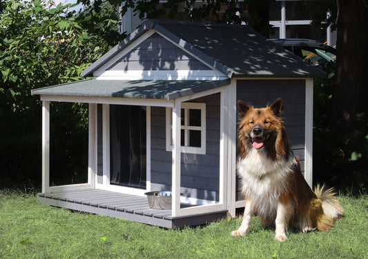 Hundehütte Outdoor - Ratgeber