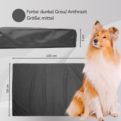 Hundekissen für Indoor und Outdoor. Robust und zuverlässig. Das perfekte Hundebett. Größe Mittel