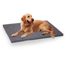 Hundekissen für Indoor und Outdoor. Robust und zuverlässig. Das perfekte Hundebett. Titelbild