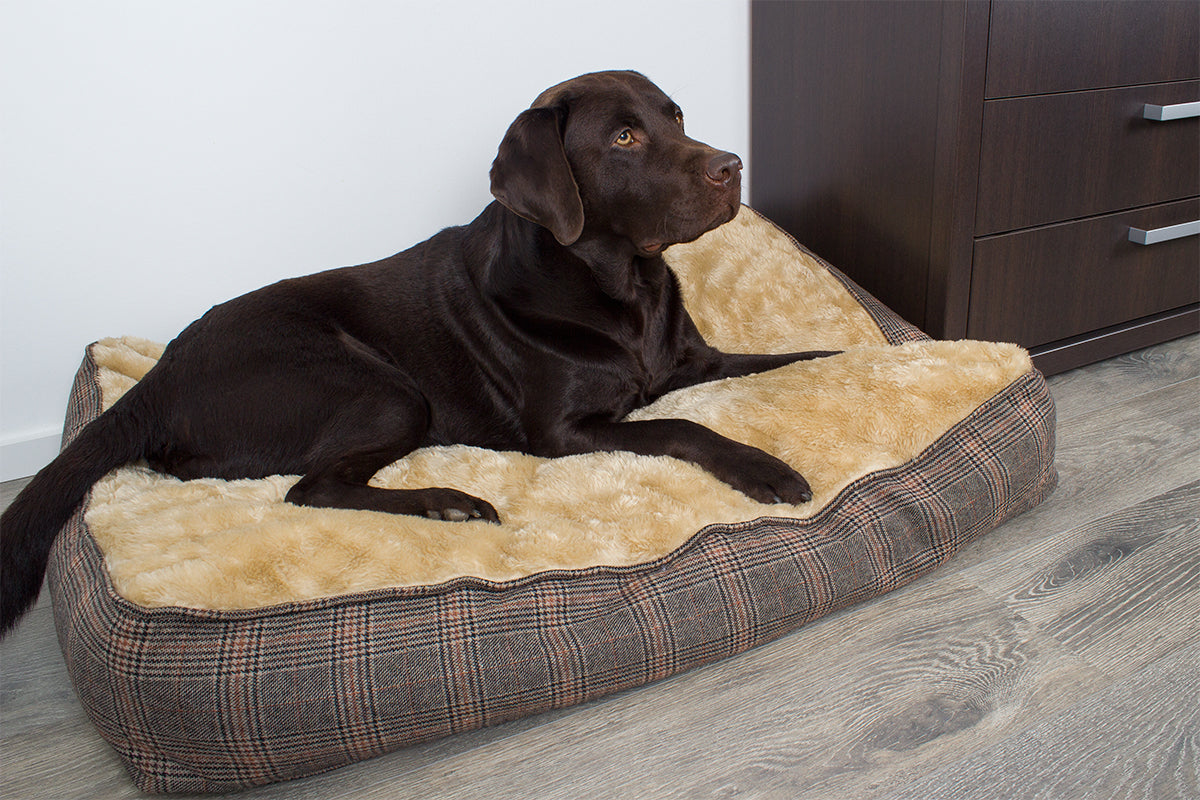 Hundekissen XL extra dick, Tweed-Optik, 100x70 cm