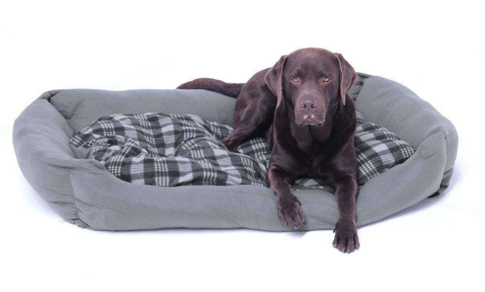 XXL Hundebett / Hundekissen grau, 120x80 cm mit Wendekissen