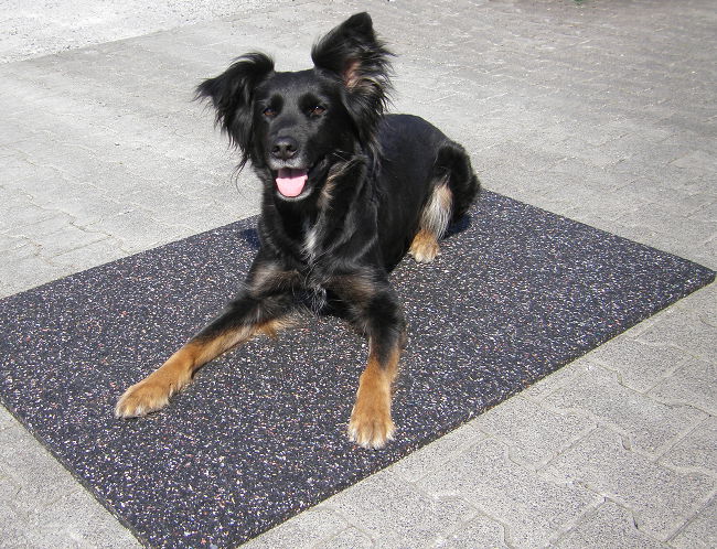 Gummimatten für unsere Hundehütten