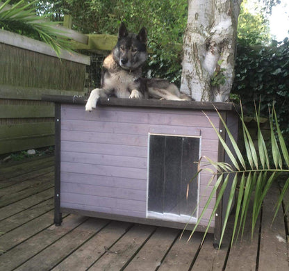 Moderne Holz-Hundehütte mit Flachdach. grau lasiert, 106 x 69 x 82 cm