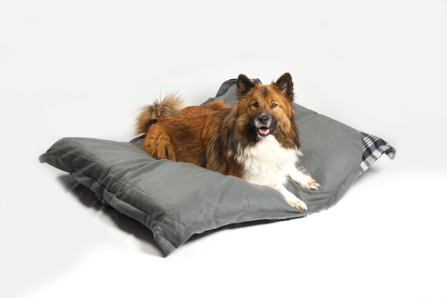 Hundebett / Hundekissen XXL grau/Karo, 120x100 cm, Wendekissen