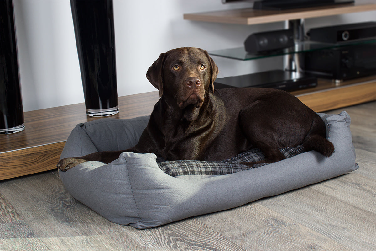 Hundebett modern grau, mit Wendekissen