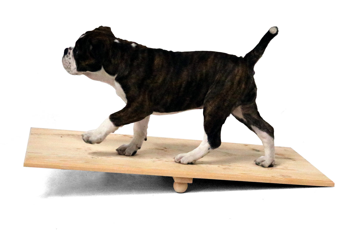 Welpen-Wippe, Activity Holz-Wippbrett für Hunde, naturbelassen