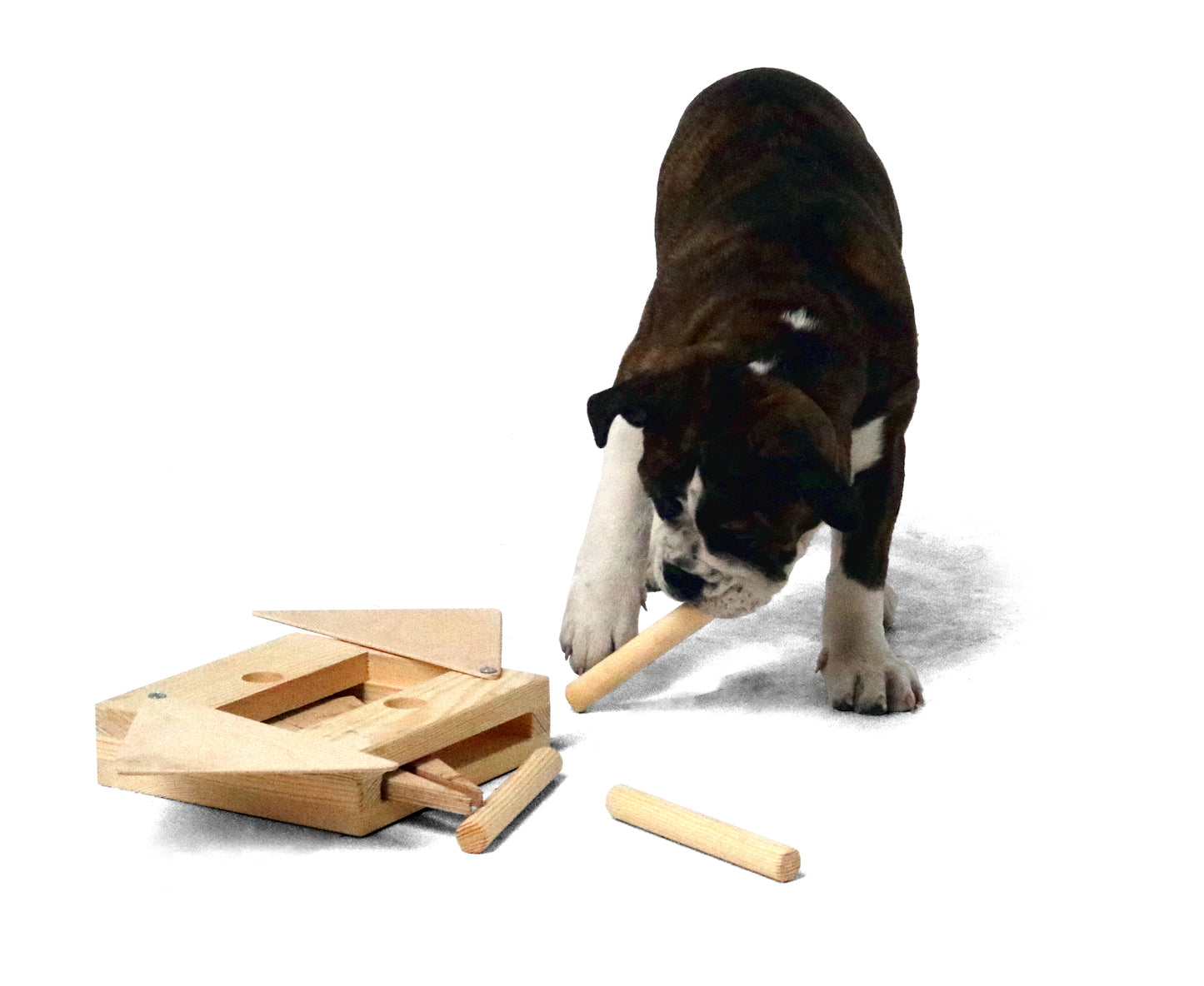Hundespielzeug Multi, Intelligenz-Multi-Kombinationsspiel
