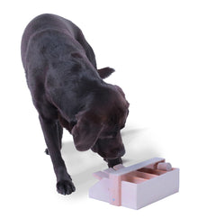 Intelligenzspiel Hundeklavier, Holz-Hundespielzeug