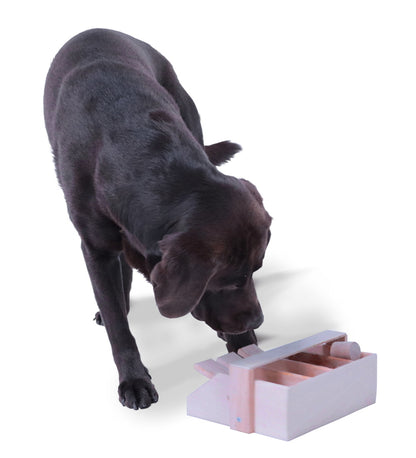 Intelligenzspiel Hundeklavier, Holz-Hundespielzeug