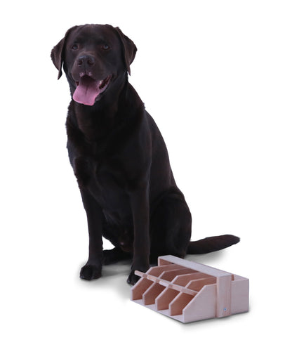 Intelligenzspiel Hundeklavier, Holz-Hundespielzeug