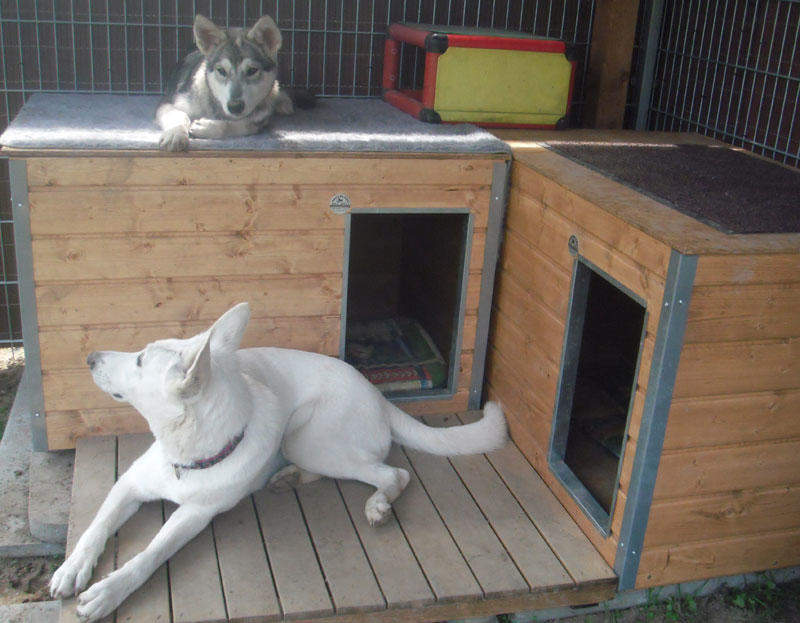 Zusätzlicher Beißschutz für Hundehütten, Kantenschutz verzinkt