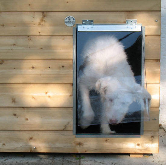 Pendelklappe für SAUERLAND Holz-Hundehütten