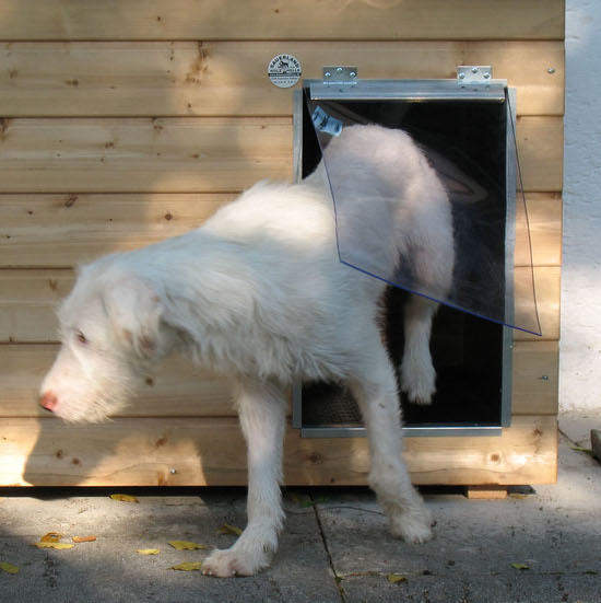 Pendelklappe für SAUERLAND Holz-Hundehütten