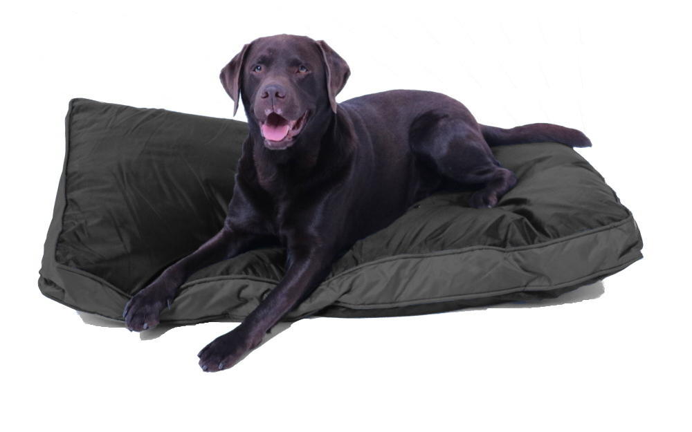 Outdoor-Hundekissen 120 x 80 cm, wasserdicht und robust
