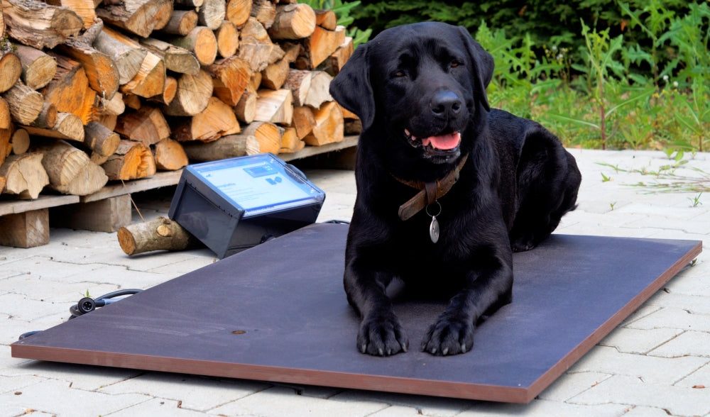 Wärmeplatte Plus für SAUERLAND Hundehütten, stufenlose Steuerung