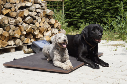 Wärmeplatte Plus für SAUERLAND Hundehütten, stufenlose Steuerung