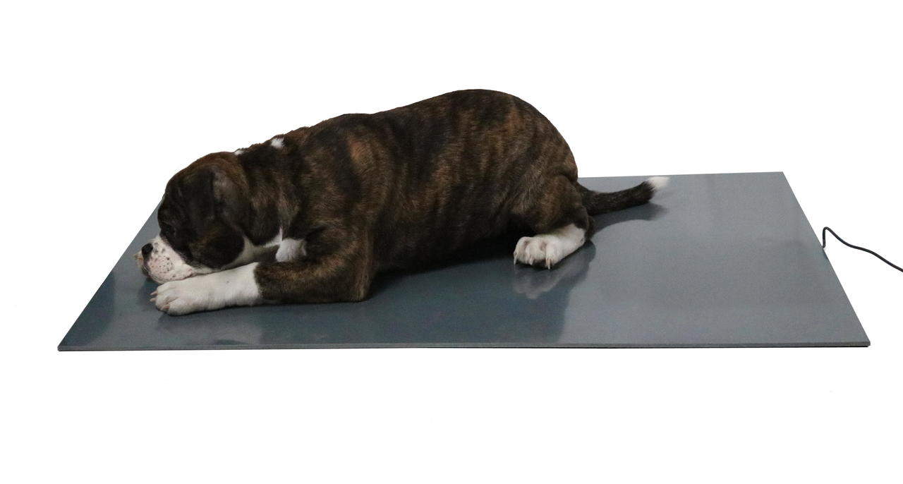 Wärmeplatte / Heizmatte für Hunde, elektrisch beheizte Unterlage aus PVC