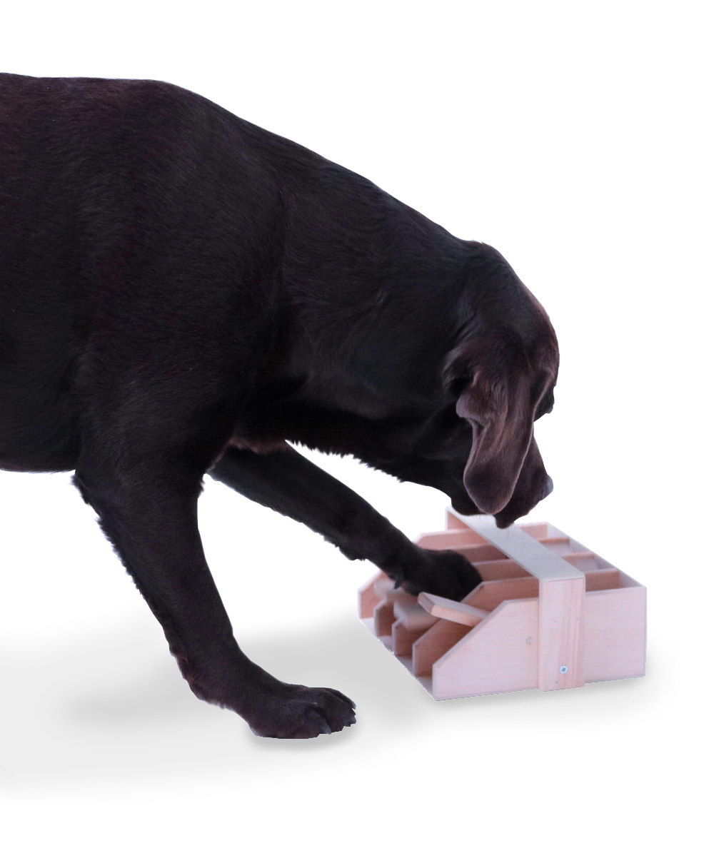 Intelligenzspiel Hundeklavier, Holz-Hundespielzeug