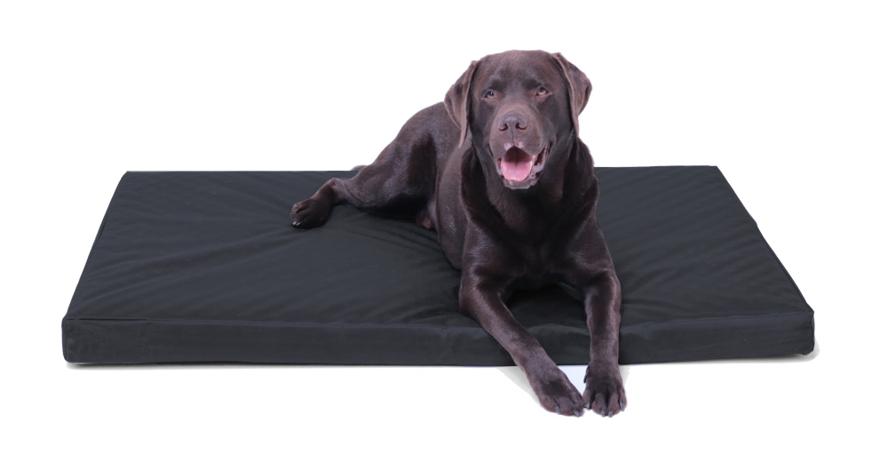 Hundekissen schwarz gesteppt 120 x 80 cm, rutschfest, Memory Foam