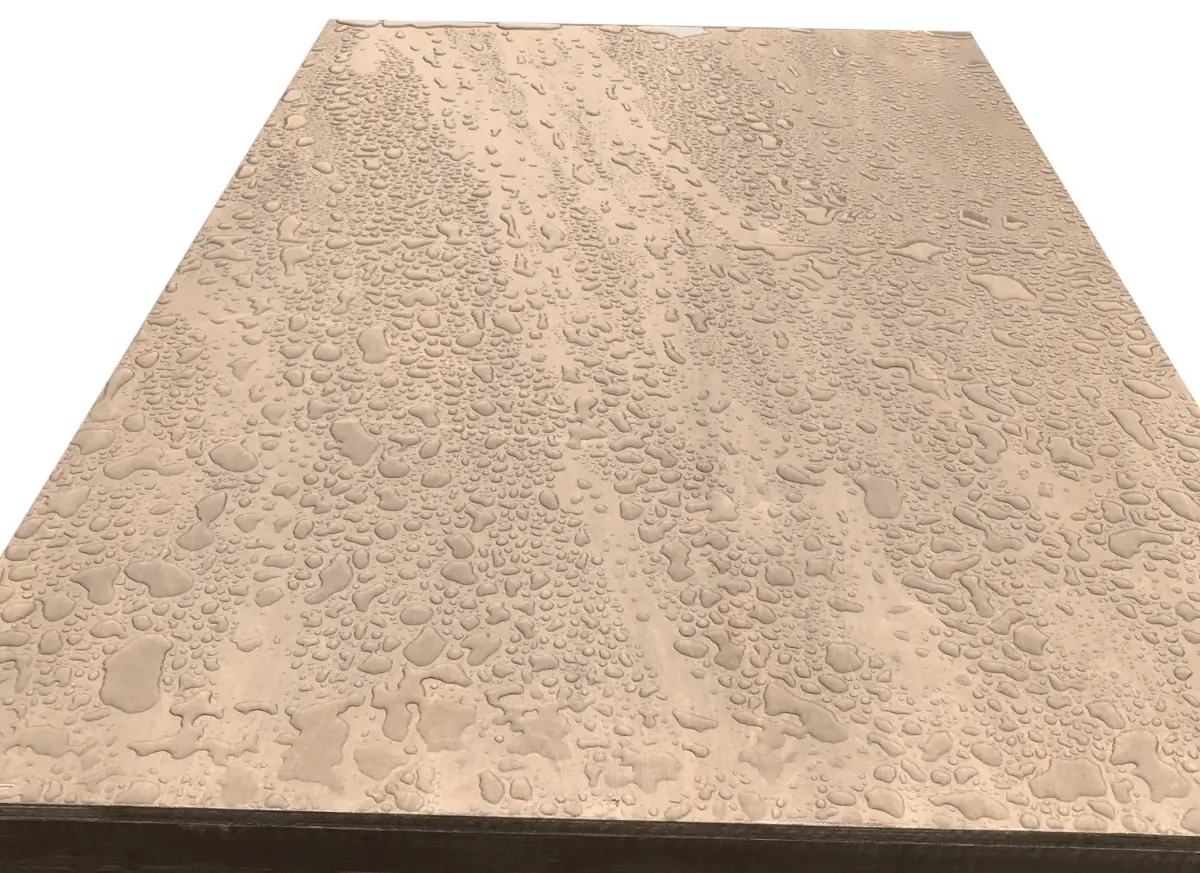 Aufpreis Dickschichtlasur für Flachdach SAUERLAND Hundehütte