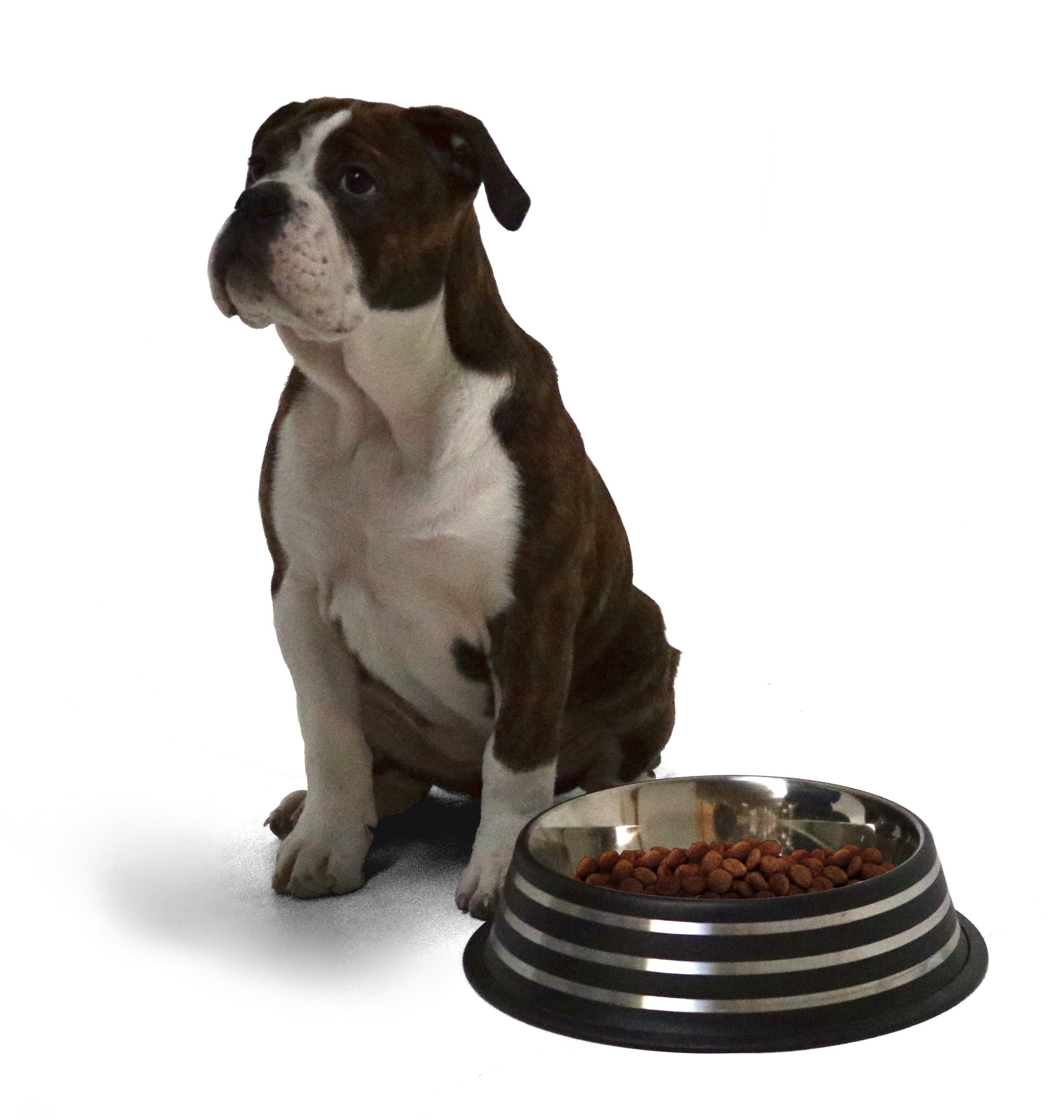 Edelstahl Napf ca. 1,8 Liter, Größe XL, mit schwarzen Streifen