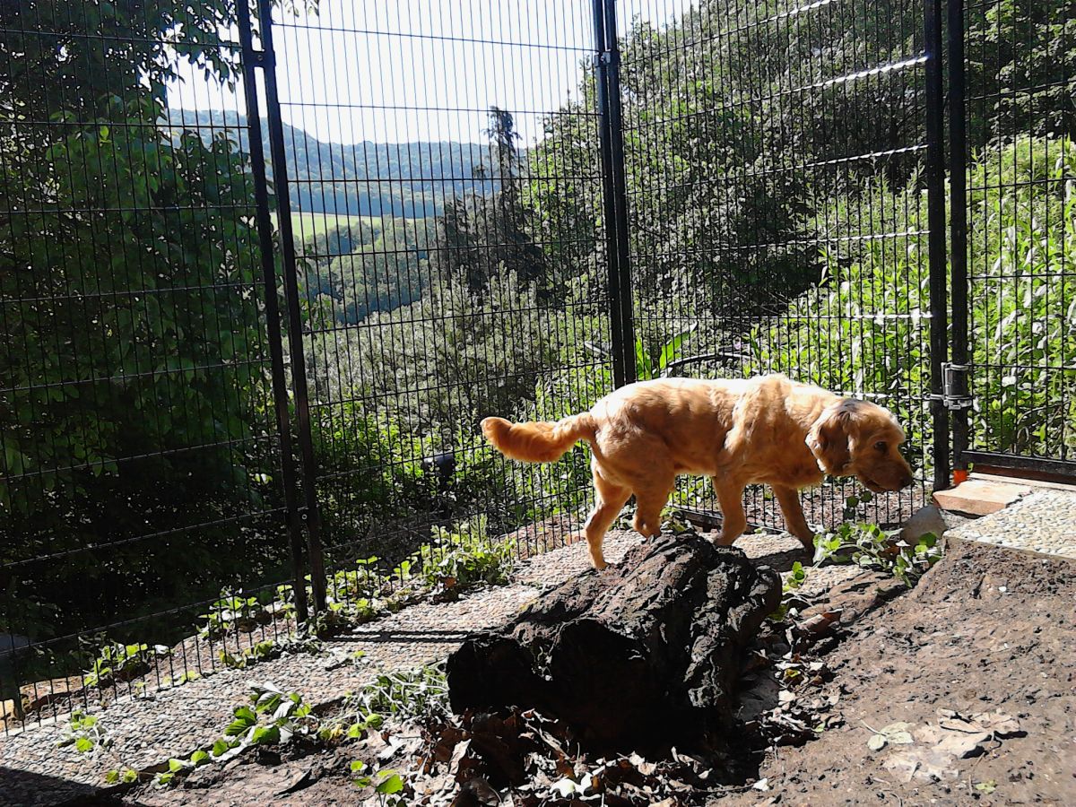 Gitterelement Colour verbaute Kundenversion in Hanglage