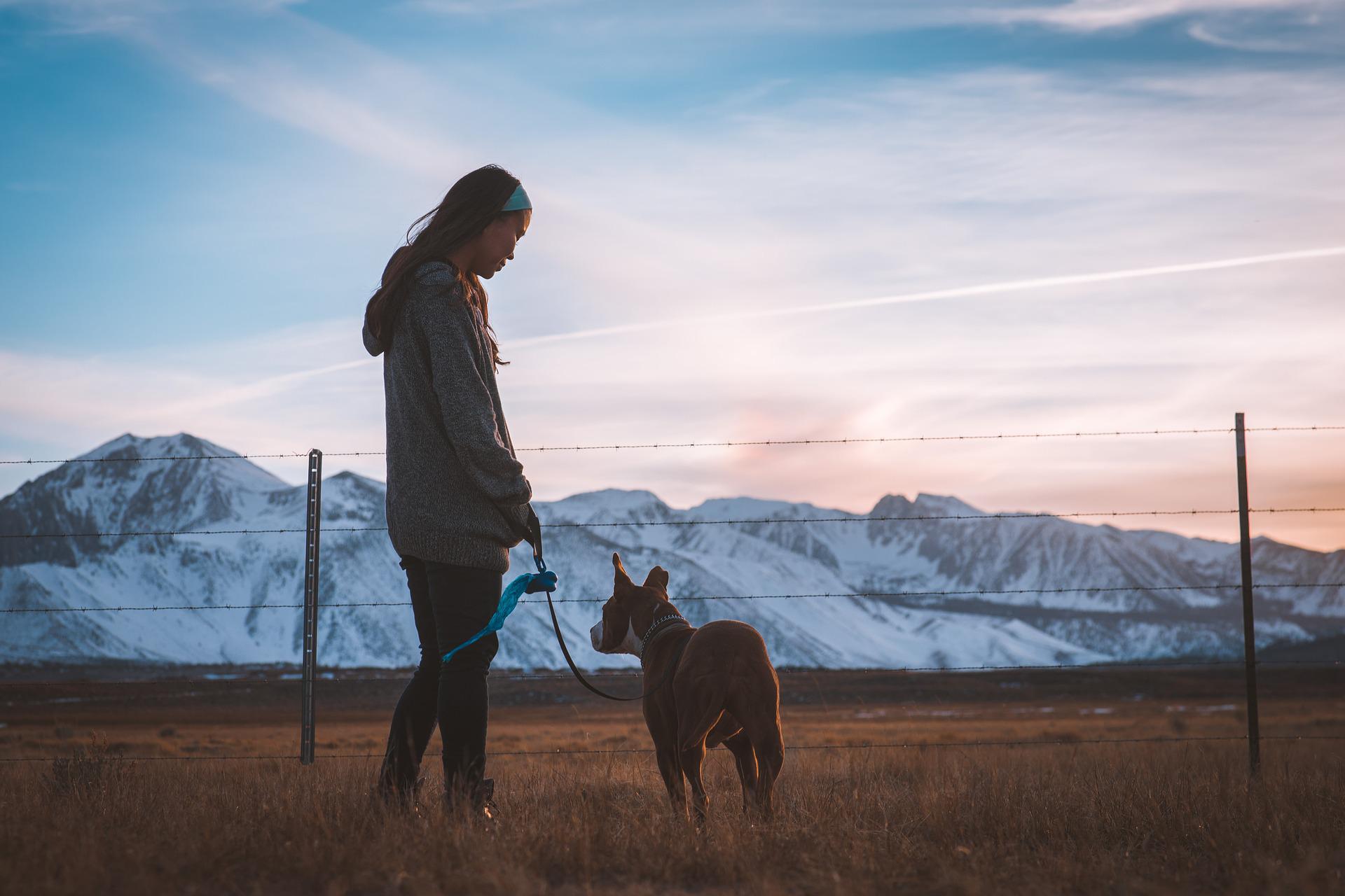 Ein Hund an der Leine