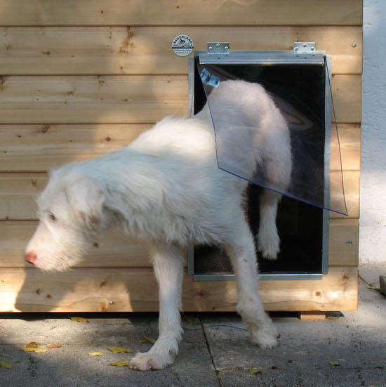 Pendelklappe für SAUERLAND Holz-Hundehütten Größe Dino