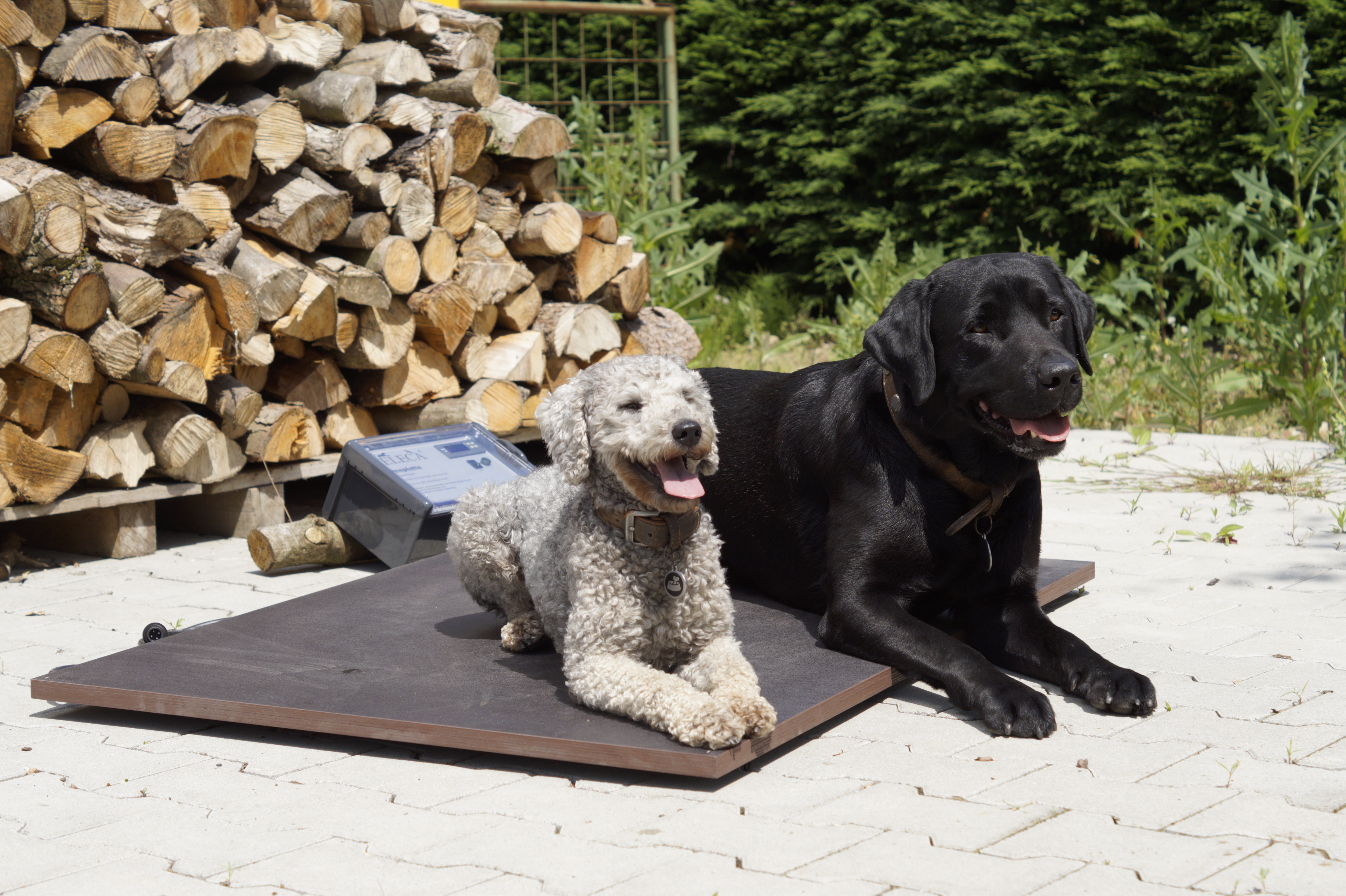 Wärmeplatte Plus 45,5 x 99 cm für SAUERLAND Hundehütte bis 40 cm Widerristh. (mit Vorraum), stufenlose Steuerung