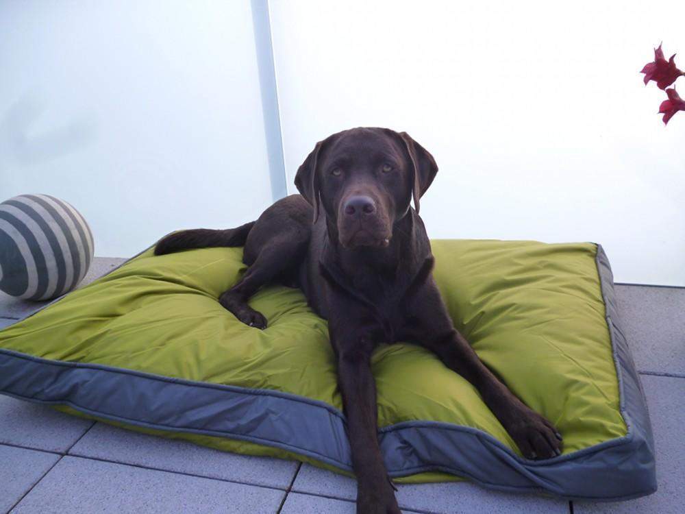 Outdoor-Hundekissen 120 x 80 cm, wasserdicht und robust, grün