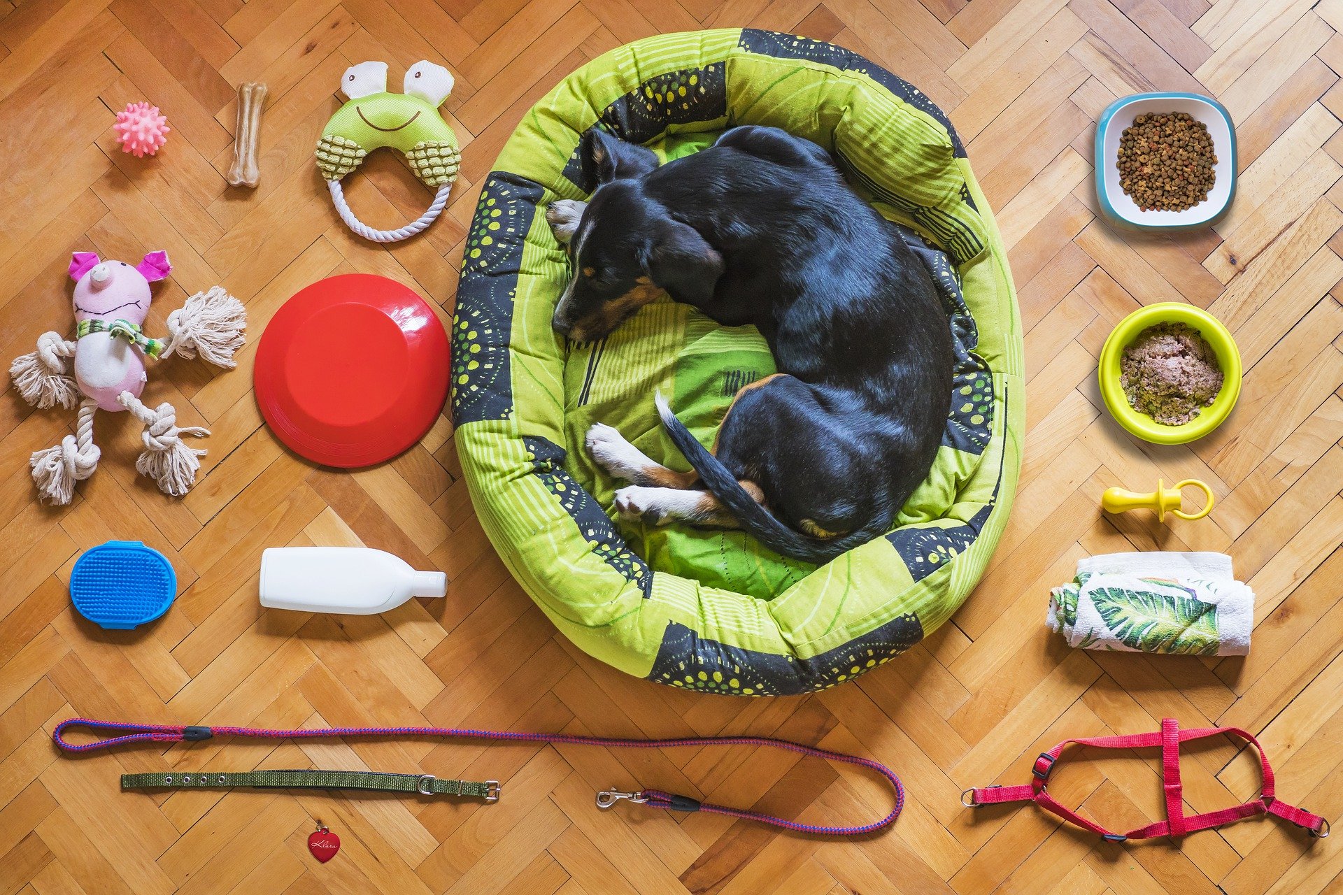 Hundezubehör und Hundespielzeug