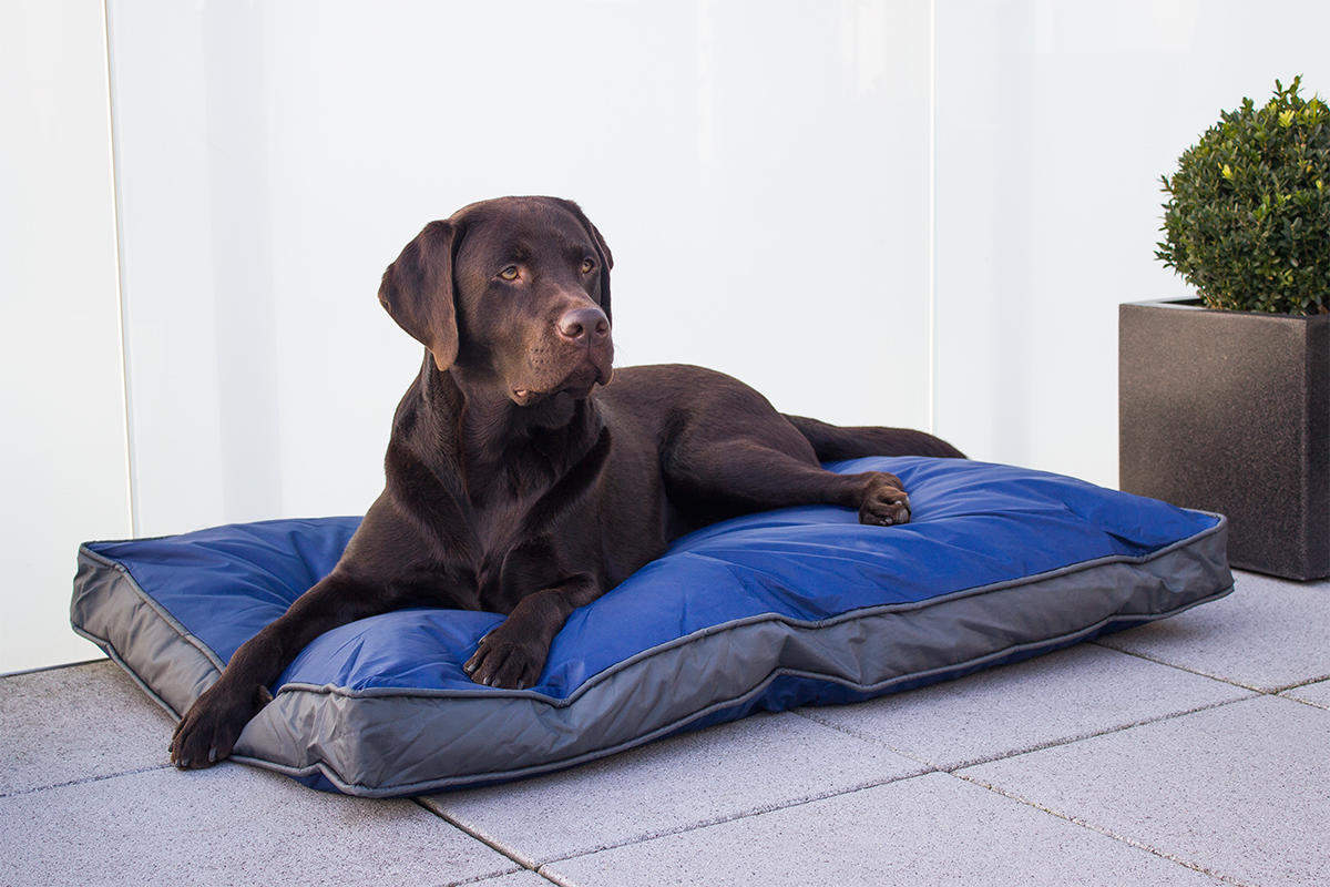 Hunde-Outdoorkissen 105 x 67 cm, wasserdicht und robust, blau