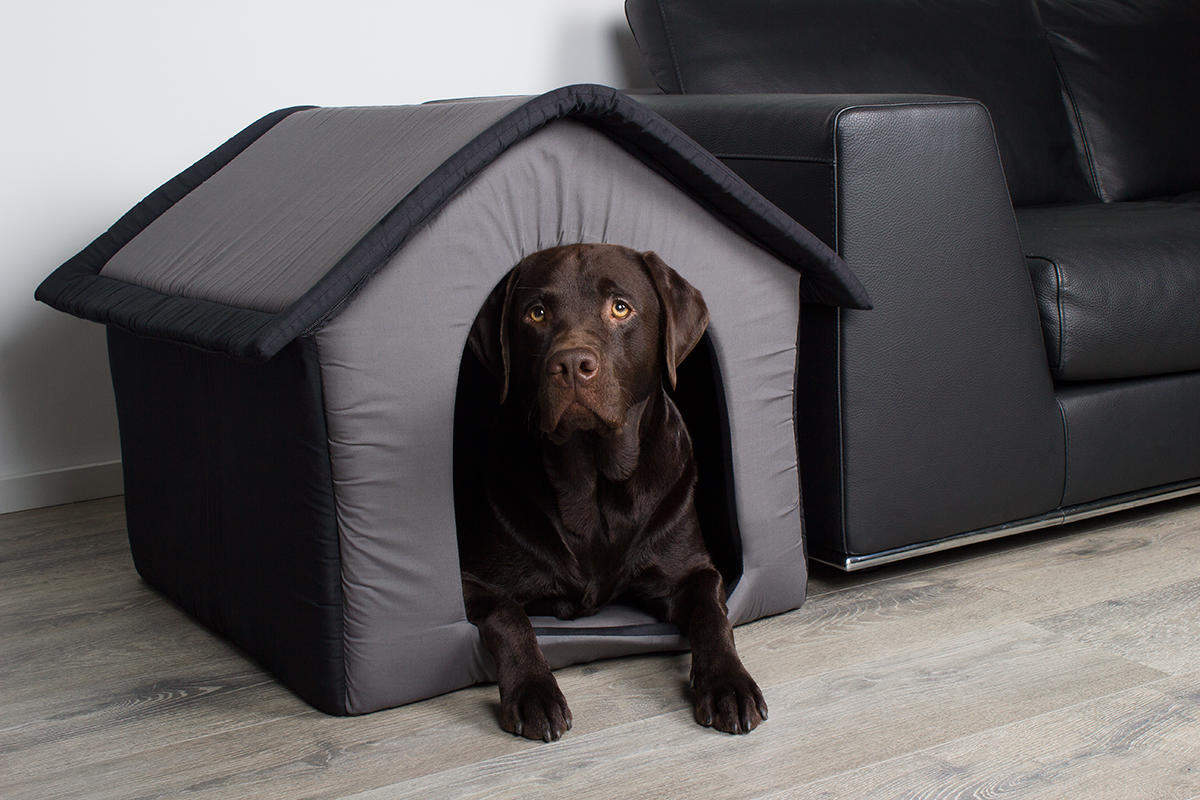Welche Größe muss die Hundebox Faltbar für meinen Hund haben?
