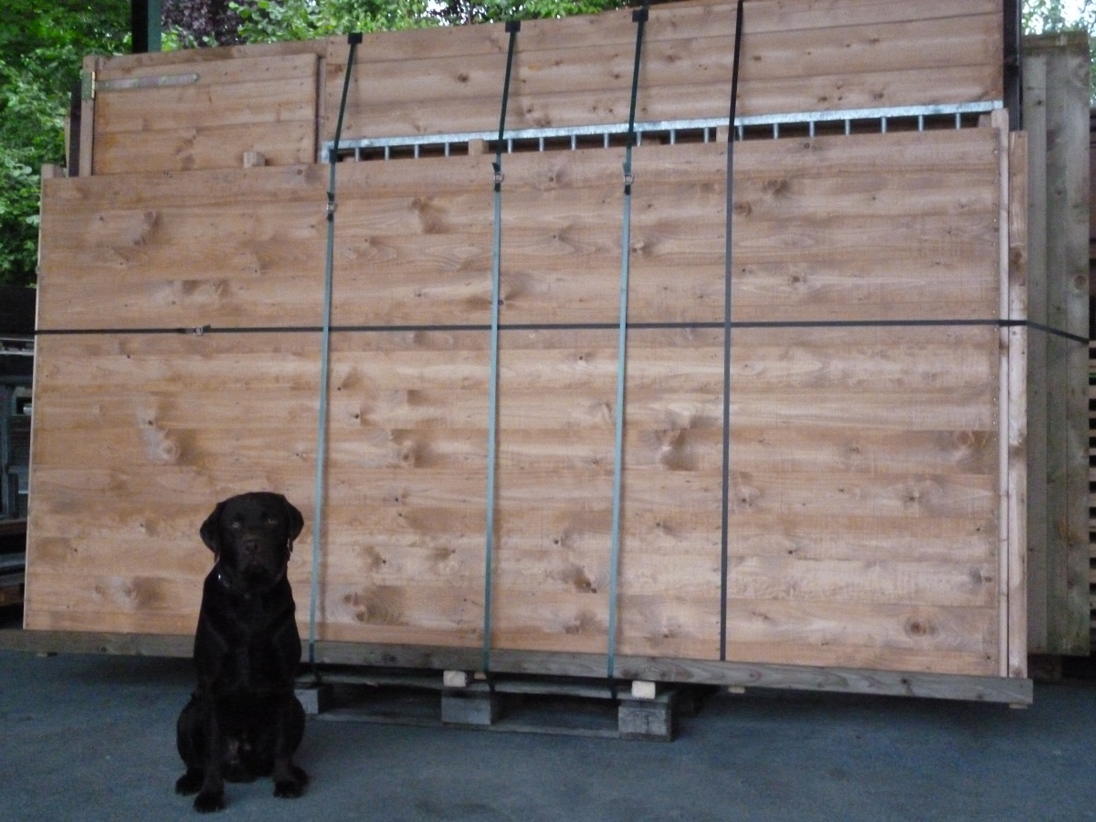Winterberg-Luxus Holzzwinger mit Pultdach 2 x 4 m  | schwedenrot | Rohrstab Abstand 5 cm