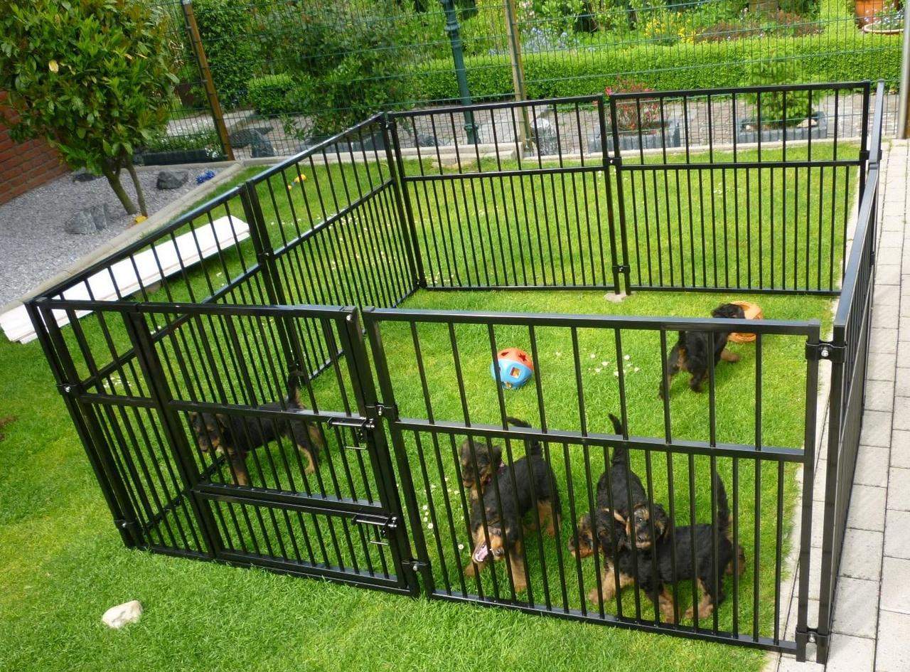2x2m_welpenauslauf_colour_mit_doppeltuer.jpg?ts=1600438590