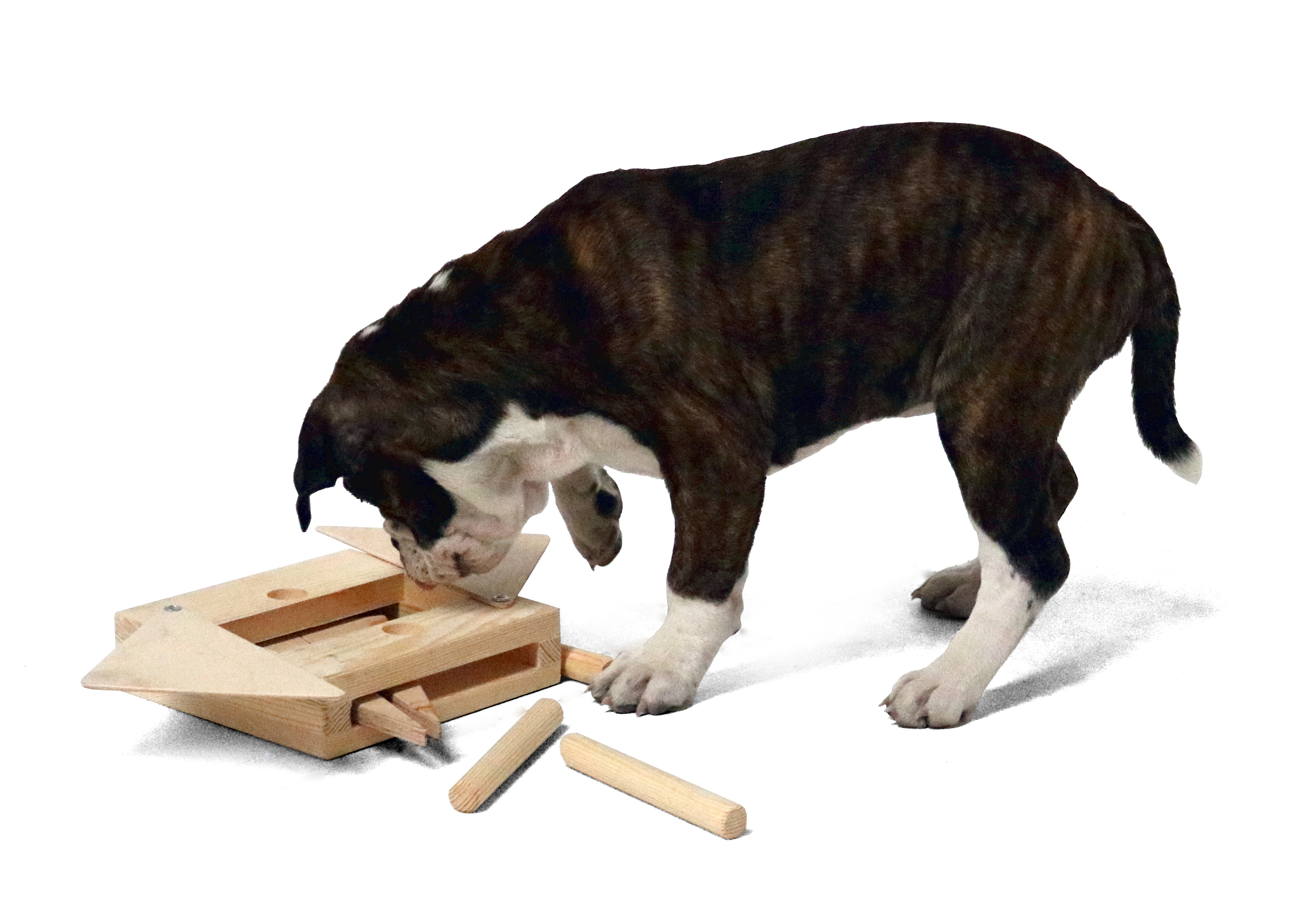 Hundespielzeug Multi, Intelligenz-Multi-Kombinationsspiel