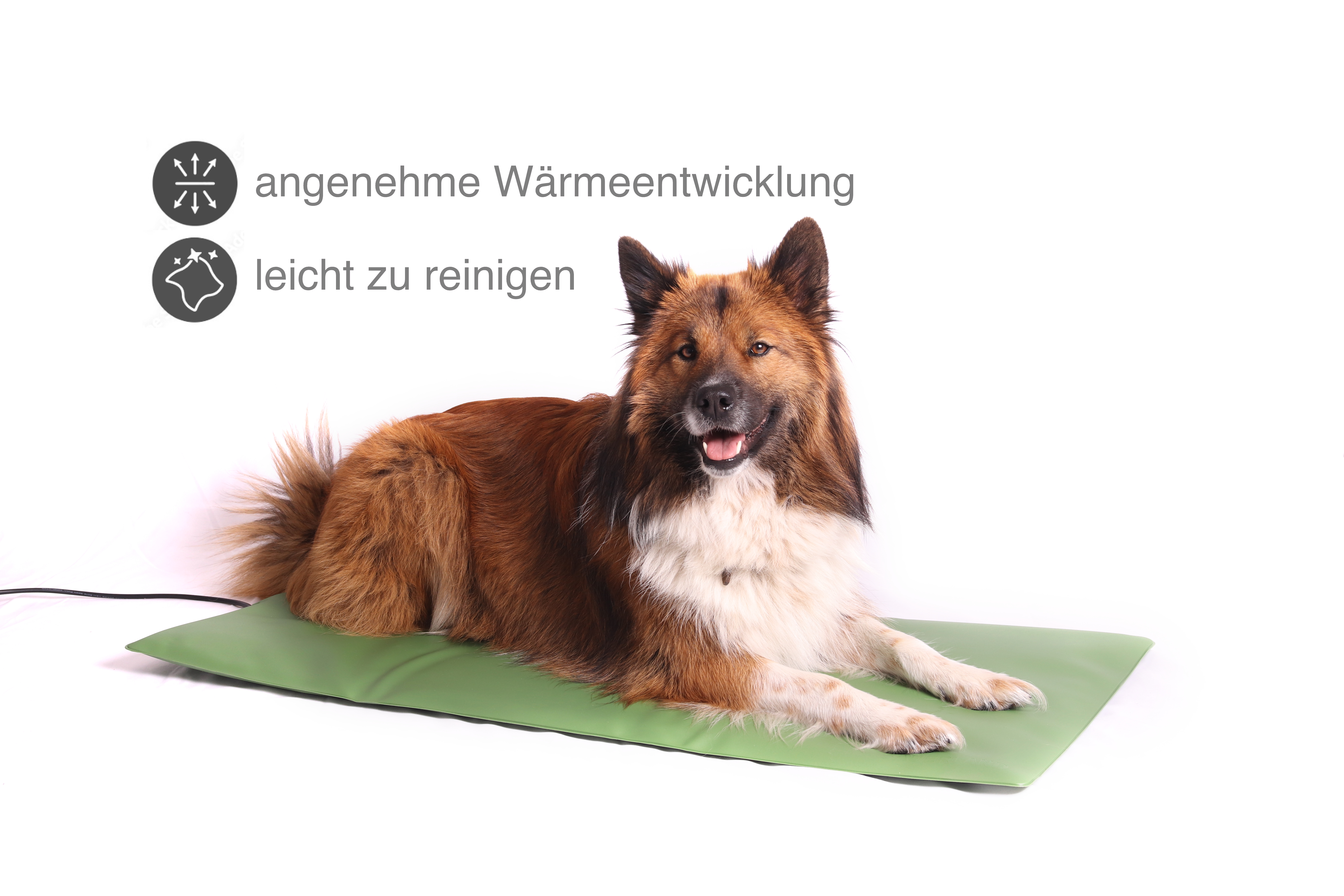 Hunde-Fußbodenheizung