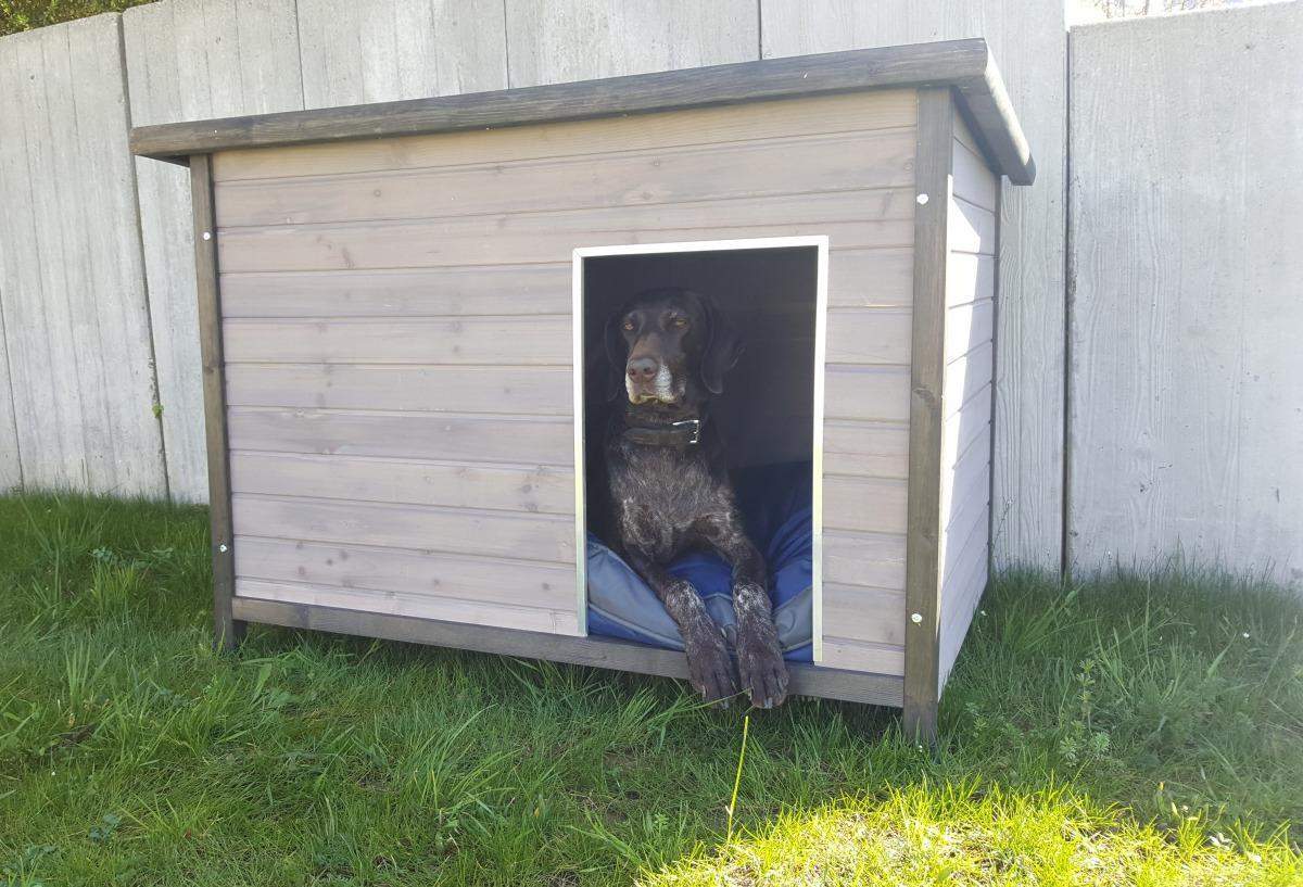 Moderne Holz-Hundehütte mit Flachdach. grau lasiert, 106 x 69 x 82 cm