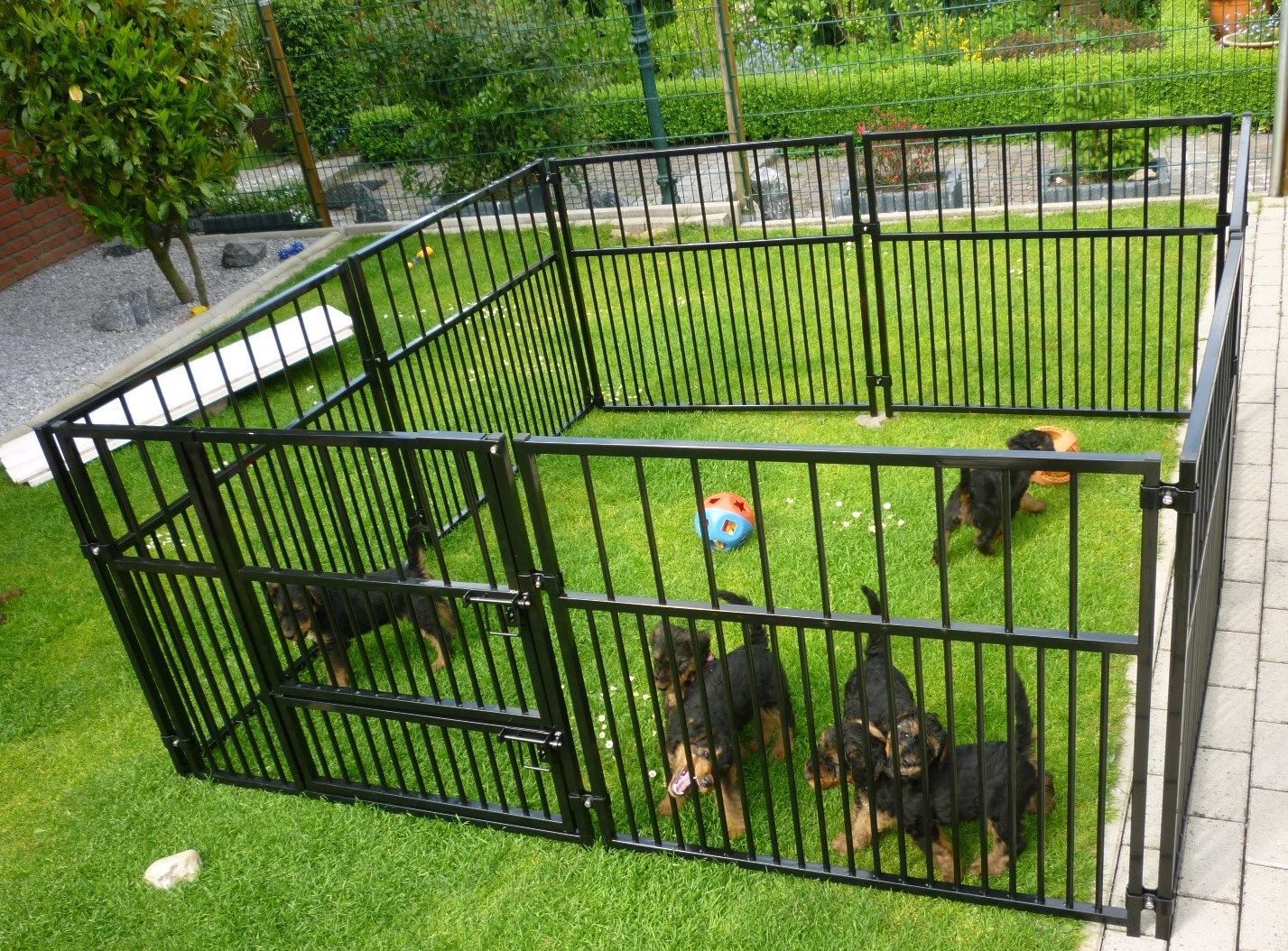 50+ Hund Auslauf Nur Im Garten, Kein garten ersetzt ausgiebige
